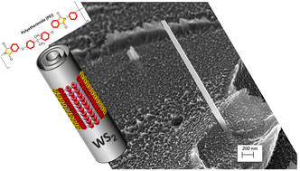 Graphical abstract: Polyetherimide (PEI) nanocomposite with WS2 nanotubes
