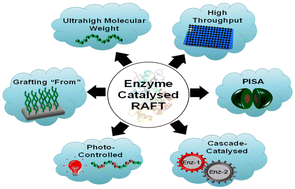Graphical abstract: Green synthesis of polymer materials via enzyme- initiated RAFT polymerization