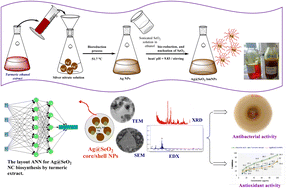 Graphical abstract: Turmeric extract-mediated biogenic synthesis of Ag@SeO2 magnetic nanoparticles: characterization, optimization, antibacterial and antioxidant activities