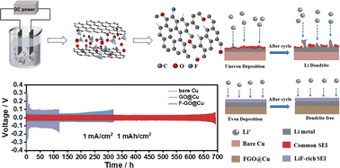 Graphical abstract: In situ fluoro-oxygen codoped graphene layer for high-performance lithium metal anode