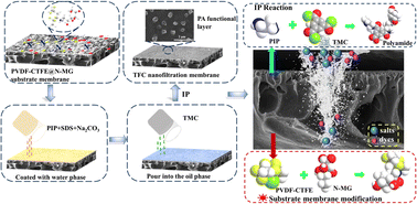 Graphical abstract: Preparation of N-MG-modified PVDF-CTFE substrate composite nanofiltration membrane and its selective separation of salt and dye