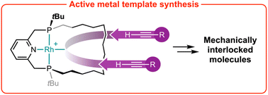 Graphical abstract: Capture of mechanically interlocked molecules by rhodium-mediated terminal alkyne dimerisation