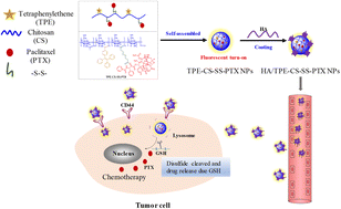 Graphical abstract: Construction of glutathione-responsive paclitaxel prodrug nanoparticles for image-guided targeted delivery and breast cancer therapy
