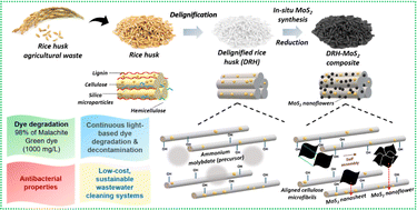 Graphical abstract: Rice husk valorisation by in situ grown MoS2 nanoflowers: a dual-action catalyst for pollutant dye remediation and microbial decontamination