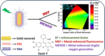 Graphical abstract: Dual-functional nano-photosensitizers: Eosin-Y decorated gold nanorods for plasmon-enhanced fluorescence and singlet oxygen generation