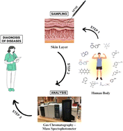 Graphical abstract: Skin emitted volatiles analysis for noninvasive diagnosis: the current advances in sample preparation techniques for biomedical application