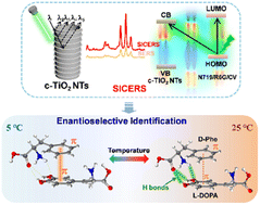 Graphical abstract: Structure-regulated enhanced Raman scattering on a semiconductor to study temperature-influenced enantioselective identification