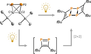 Graphical abstract: Structure and photochemistry of di-tert-butyldiphosphatetrahedrane