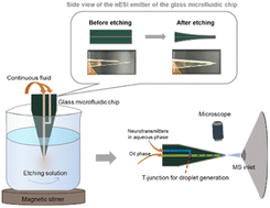 Graphical abstract: Monolithic 3D nanoelectrospray emitters based on a continuous fluid-assisted etching strategy for glass droplet microfluidic chip-mass spectrometry