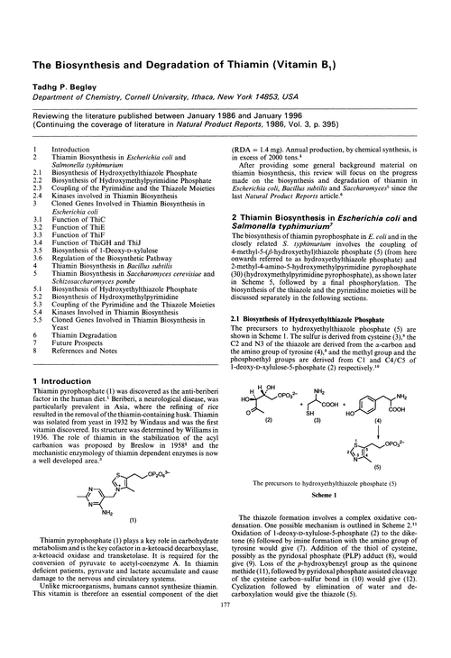 The biosynthesis and degradation of thiamin (vitamin B1)