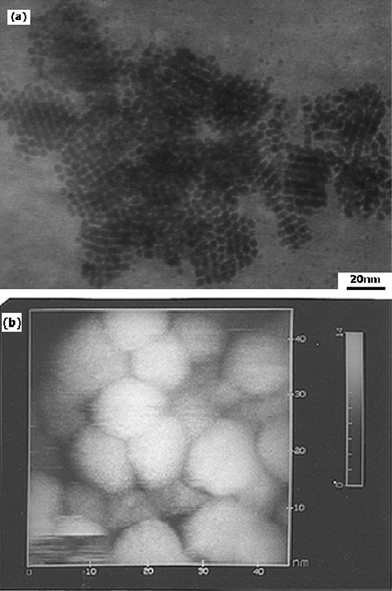 Two-dimensional array of Pt particles: (a) TEM image of
thiol-derivatised Pt particles. Hexagonal particles form honeycomb-like
arrays. (b) STM image showing the hexagonal stacking of the top three
layers of the particles (from Sarathy et al.24).