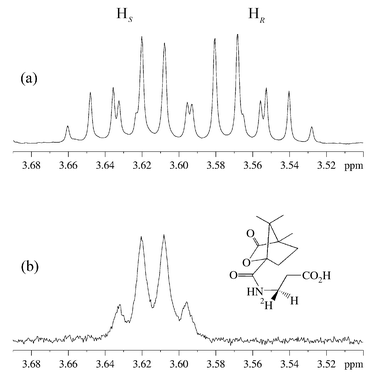  1H NMR (500 MHz, C2HCl3) of the C3 
protons of β-alanine in (a) N-camphanoyl-β-alanine and 
(b) camphanoyl derivative of the biotransformed material.