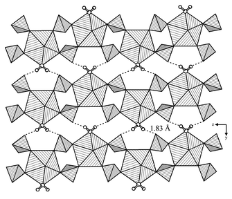One-dimensional [UO2(H2O)(SO4)2]2− chains in USO-1. Tetrahedra and pentagonal bipyramids represent [SO4] and [UO7] moieties, respectively. Hydrogen bonds are shown as dashed lines.