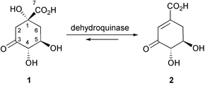 The reaction catalysed by dehydroquinase.