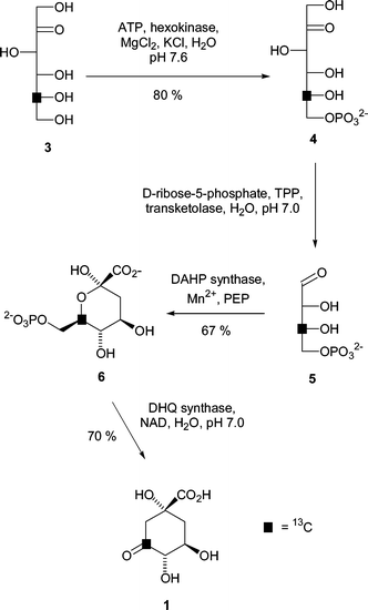 Enzymic synthesis of [3-13C] labelled DHQ.