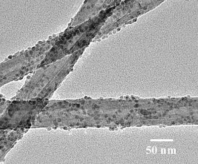 TEM image of ferritin-CNx MWNT conjugates.
