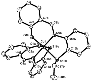 Molecular structure with atom labeling for 1.