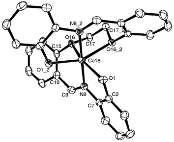 Molecular structure for 7 as an ORTEP plot. Co(ii) sits on a center of symmetry.