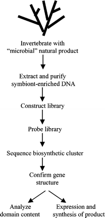 Approaches for cloning bioactive metabolite genes.