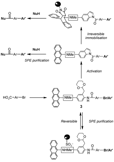 Schematic application of bifunctional phase-tags to mediate both reversible and irreversible phase-switching during solution phase synthesis and compound manipulation.