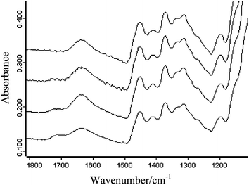 Infrared spectra of sample tablets containing (starting from the top) 0.075 wt%, 0.35 wt%, 1 wt% and 1.6 wt% of ibuprofen in HPMC measured using the single element MCT detector.
