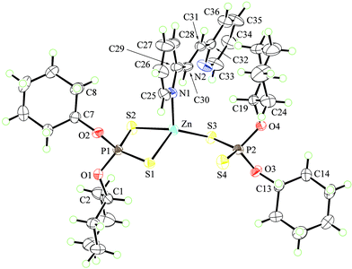 Coordination geometry for the zinc centre in the mononuclear structure of [Zn(S2P(OCy)2)2(2-NC5H4C(H)C(H)C5H4N-2)] (1).