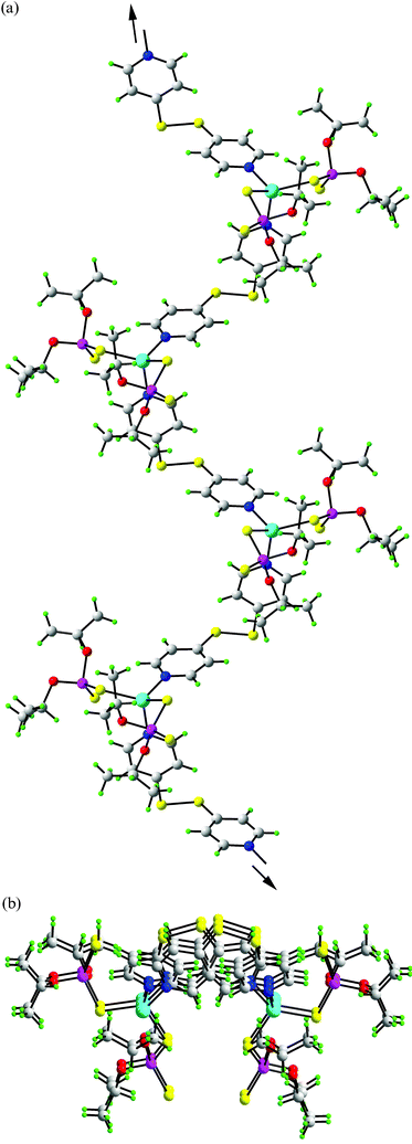 Two views of the polymeric structure of [Zn(S2P(OiPr)2)2(4-NC5H4SSC5H4N-4)]∞ (4). (a) Viewed down the a-direction and (b) viewed approximately down the c-direction. Click here to access a 3D image of Fig. 5b.