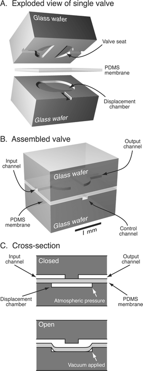Monolithic membrane valve structure before, A, and after, B, bonding the wafers together with the PDMS membrane. Valves consist of a discontinuity in a channel (valve seat) directly across the PDMS membrane from an etched displacement chamber. C, Lengthwise cross-section through a valve. Valves are normally closed against low pressures in the valved channels; applying a vacuum to the displacement chamber via the “control” channel pulls the membrane into the displacement chamber and opens the valve.