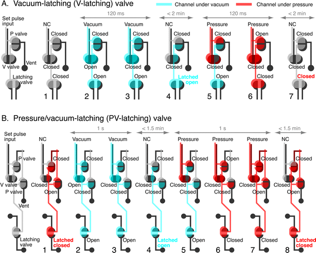 Design and operation of the V-latching, A, and PV-latching, B, valve pneumatic circuits. Both circuits contain the actual latching valve and two or three additional pneumatic logic valves. In the V-latching valve, 120 ms vacuum pulses (−85 kPa relative to atmospheric) applied to the “set pulse input” channels depressurize the latching volume and open the latching valve in Step 4. Pressure pulses (120 ms, 40 kPa relative to atmospheric) eliminate the vacuum in the latching volume and close the latching valve in step 7. “NC” indicates that no connection (only atmospheric pressure) is applied to the “set pulse input” channels. The PV-latching valve opens in a manner similar to the V-latching valve but traps pressure in the latching volume during closure (step 8); this pressure seals the latching valve closed against fluid pressures as high as 17 kPa. Gray arrows show typical amounts of time for the specified steps.