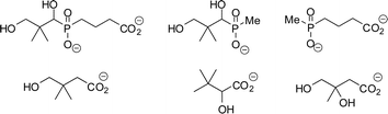 Compounds reported as potential inhibitors of pantothenate synthetase.10,11