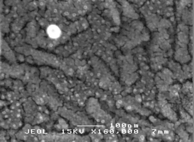 SEM image of two coat Ag–TiO2 coating × 160 000, scale bar 100 nm.