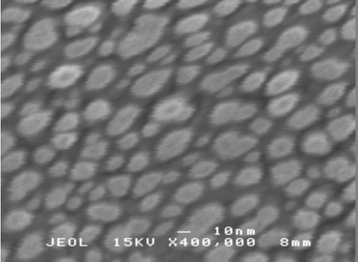 SEM image of TiO2 coating × 400 000, scale bar 10 nm.
