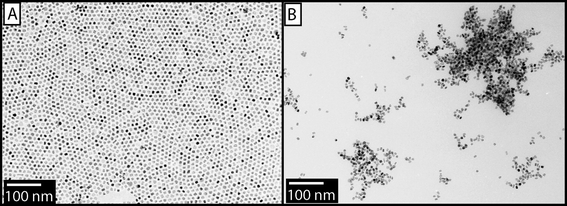 A) TEM image of MPN 1 (∼7 nm). B) Network-like aggregates of DNA assembled with MPN 1.