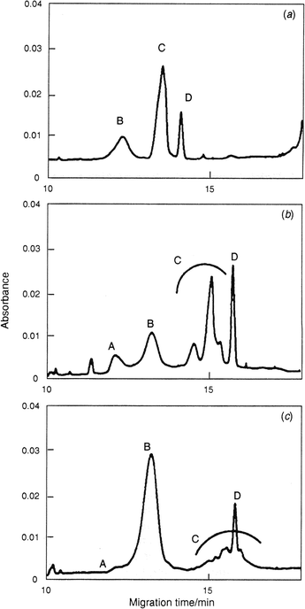 Capillary electropherograms of human synovial fluid: (a) normal sample; (b) osteoarthritis; (c) rheumatoid arthritis. A and B: unidentified substances; C: presumably hyaluronan, D: uric acid. Reproduced with permission from ref. 174. (Copyright 1994, Royal Society of Chemistry.)