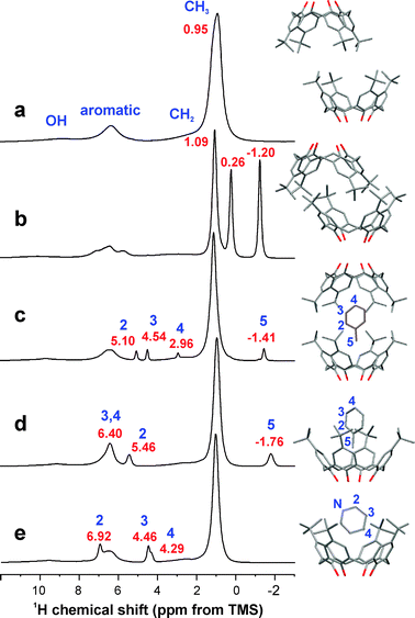 900 MHz 1H MAS NMR spectra obtained with 32 kHz MAS frequency (left) and partial structures (right) of p-tert-butylcalix[4]arene complexes: (a) low-density guest-free, (b) high-density guest-free, (c) 2 : 1 complex with toluene, (d) 1 : 1 complex with toluene, (e) 1 : 1 complex with pyridine. The chemical shifts of selected resonances are given in ppm.