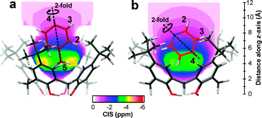 Superposition of (a) toluene and (b) pyridine guest molecules on the complexation-induced shift map of the p-tert-butylcalix[4]arene cavity. The slices through the 3D CIS maps are taken such that they are very close to the ring planes of the guest molecules.