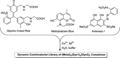 Generation of a DCL of metal–dye complexes by mixing three dyes with CuCl2 and NiCl2 in buffered aqueous solution.