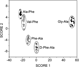 Linear discriminant analysis score plot showing clear separation of a series of closely related dipeptide analytes.