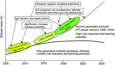 Road map of potential development pathways for first and second generation biofuels, including implications for different markets. Source: REFUEL. http://www.refuel.eu/fileadmin/refuel/user/docs/REFUEL_final_road_map.pdf. Reproduced with permission of Marc Londo.