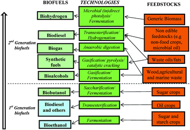 The biofuels ladder. Road map of biofuels production from feedstocks and technologies.