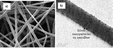 
          SEM images of (a) electrospun nanofibers with silver nanoparticle solution and then photoreduced by UV irradiation. (b) TEM image of a single nanofiber with silver nanoparticles on its surface.