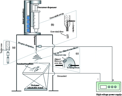 Schematic of electrospinning set up to obtain random nanofibers. (a) Enlarged view of formation of fiber starting from the Taylor cone. (b) Set up to obtain aligned nanofibers using rotating drum with sharp edge. (c) Set up to obtain core-shell nanostructures.