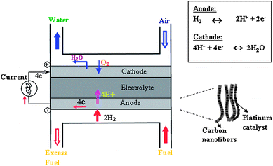 (a) Schematic of PEM fuel cell. The proton exchange membrane as electrolyte allows only the positively charged ions to pass through. The negatively charged electrons travel along an external circuit as current. (b) Schematic of nanofiberous carbon electrode structure embedded with catalysts.