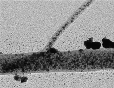 
            Scanning electron micrograph of electrospun PANI nanofibers with silver precursor prepared in our laboratory resulted in uniform dispersion with Ag nanoparticles.