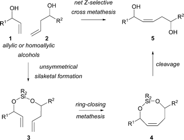 Net Z-selective cross-metathesis of an allylic and a homoallylic alcohol.