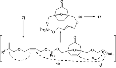 
          Macrocycle-closing metathesis of the silaketal 7j.