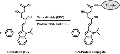 Preparation of FLV-protein (BSA and KLH) conjugates.