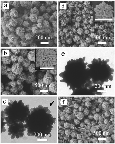 
          SEM and TEM images of the samples obtained with 40 mM PVP and different concentrations of ionic capping agents: (a) 50 μL of 12.5 mM sodium citrate (sample 3); (b) and (c) 100 μL of 12.5 mM sodium citrate (sample 4); (d) and (e) 100 μL of 12.5 mM SDS (sample 5); and (f) 600 μL of 12.5 mM SDS (sample 6). The insets of (b) and (d) show enlarged SEM images of the corresponding nanospheres and the scale bars in the insets represent 500 nm.