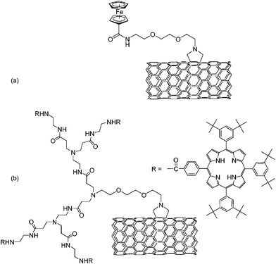 
            Amidoferrocenyl (a) and PAMAM bridged tetraphenyl porphyrin (b) SWCNT nanoconjugates.