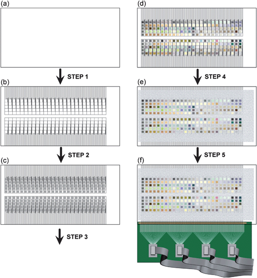 Schematic of the process of preparing the substrate and making electrical contact to 130 individual materials on a single piece of FTO-coated glass. (a) The substrate started as a sheet of glass uniformly coated with FTO. (b) In Step 1, the FTO-coated glass was laser etched with a spot size of 50 µm. The etched FTO substrate, with 260 electronically isolated squares, with 130 contact pads along each of the two long sides of the substrate. (c) In Step 2, the substrate was carefully cleaned and treated with siliconizing liquid for hydrophobicity, and aqueous solutions of metals were then printed using a commercial inkjet printer. After printing, the slide was dried at ∼80 °C. In Step 3, the substrate was baked at 500 °C for 3 h and cooled overnight, pyrolyzing the metal salts. (d) After baking, mixed metal oxides of varying coloration were generated. (e) In Step 4, the substrate was screen printed with a screen-printable epoxy, to passivate the surface area of the slide that was not covered by metal oxide spots. This step reduced the interfacial capacitive charging and minimized any deleterious electron-transfer processes that might occur at the FTO-water interface. (f) In Step 5, electrical contact was made to each of the 130 contact pads along the edge of the substrate using an elastomeric connector clamped between a custom-made PCB with corresponding contact pads. Each contact pad on the PCB was routed to one of four ribbon cable connectors, which were subsequently connected to a second PCB (not shown).